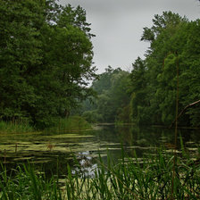 Схема вышивки «a8»