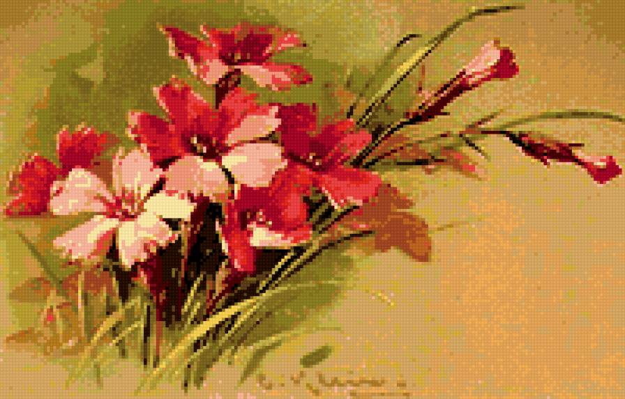 гвоздики - цветы - предпросмотр