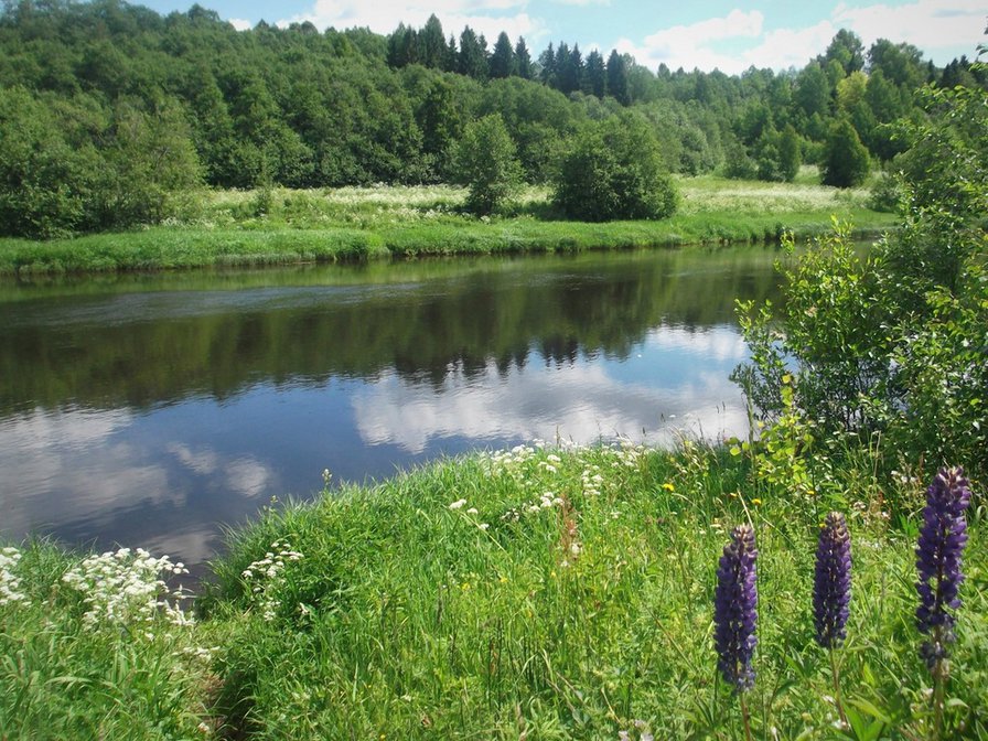 лето - река, пейзаж - оригинал