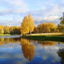 Схема вышивки «осень»