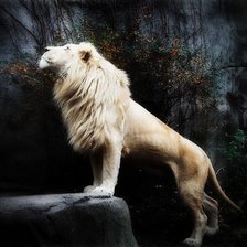 Схема вышивки «Лев»