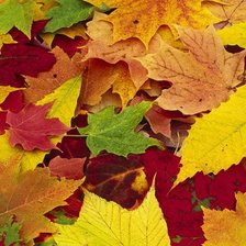 Схема вышивки «золотая осень»