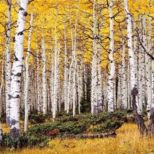 Схема вышивки «№403179»