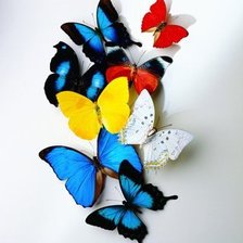 Схема вышивки «бабочки»