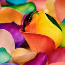 Схема вышивки «яркость»