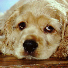 Схема вышивки «скучаю»