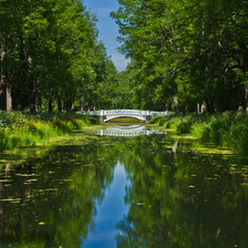 речка в лесу