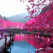 Схема вышивки «Сакура на берегу»