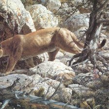 Схема вышивки «Пума»