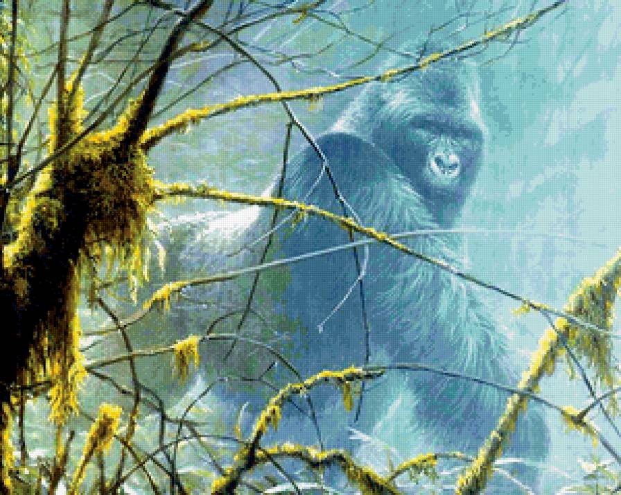 Кинг-Конг - кинг-конг, джунгли, горилла, животные, природа - предпросмотр