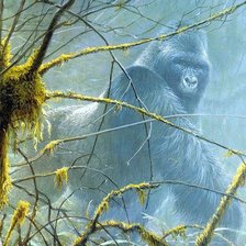 Схема вышивки «Кинг-Конг»