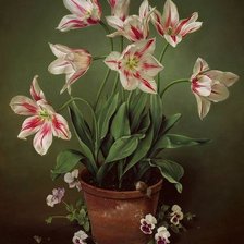 Схема вышивки «Лилии»