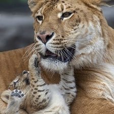 Схема вышивки «семья»