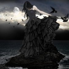 Схема вышивки «ворон»