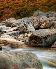 Схема вышивки «165»