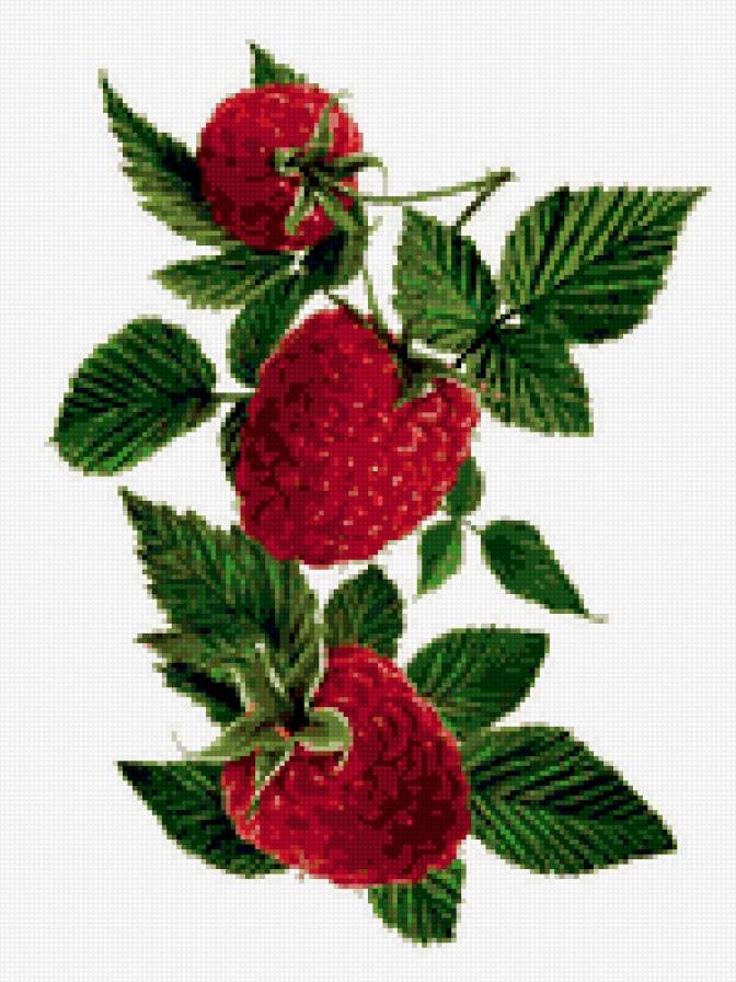 малинка - ягоды - предпросмотр