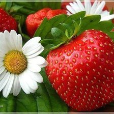 Схема вышивки «клубничка»