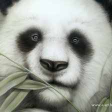 Схема вышивки «панда»