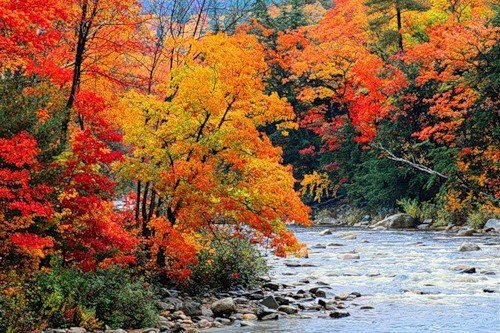 №404050 - природа, пейзаж, осень, река, деревья - оригинал