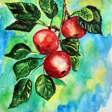 Схема вышивки «№404069»