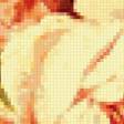 Предпросмотр схемы вышивки «№404079»