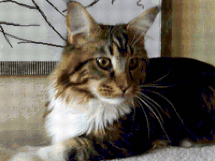 Шерлок - предпросмотр