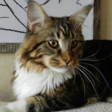 Схема вышивки «Шерлок»