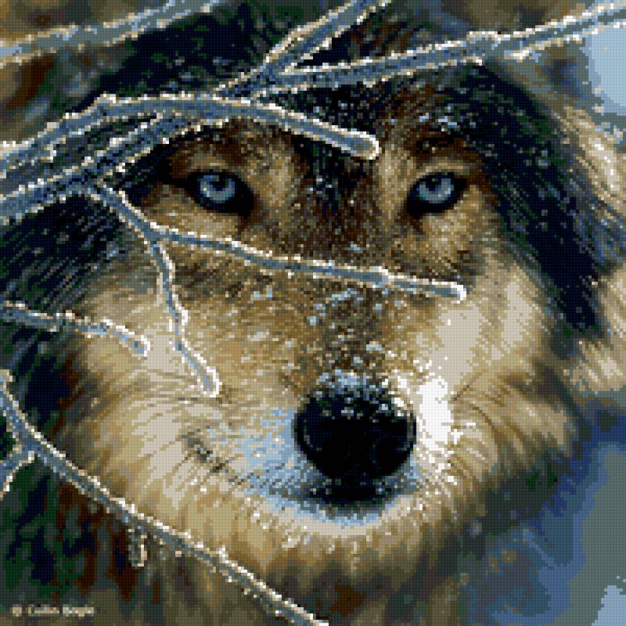 худ.collin bogle - волк - предпросмотр