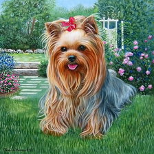 забавные собачки