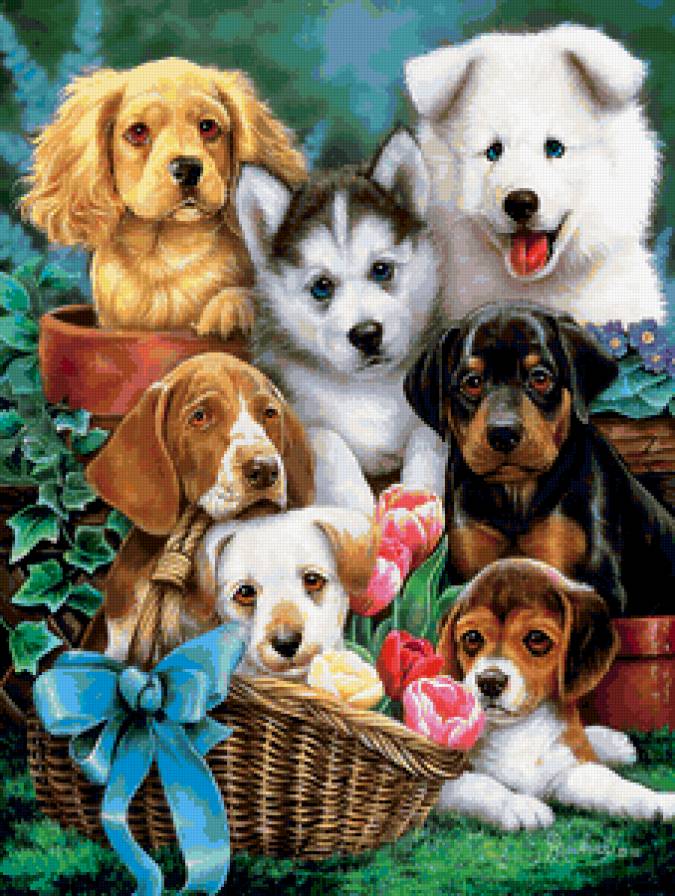 забавные собачки - предпросмотр