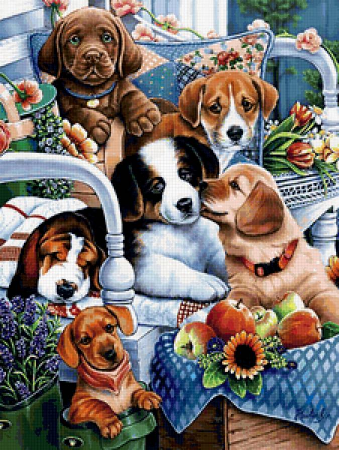 забавные собачки - предпросмотр