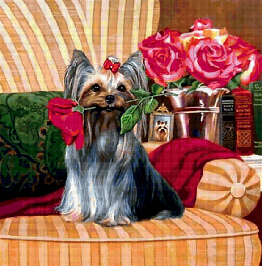 забавные собачки - предпросмотр