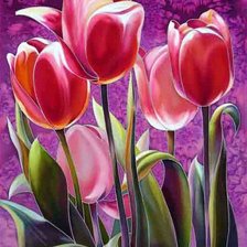 Схема вышивки «тюльпаны»