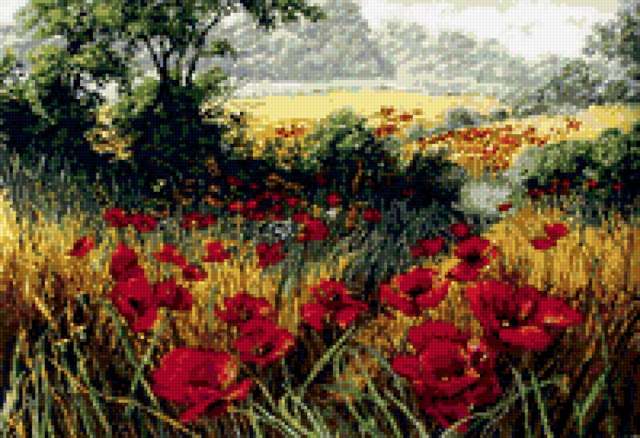 Маковое поле - предпросмотр