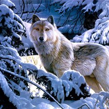 Схема вышивки «Волк»