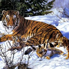 Схема вышивки «Тигры»