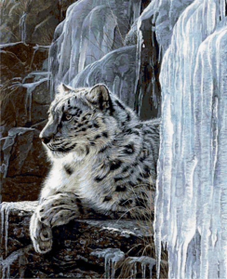 Снежный барс - снежный барс, животные - предпросмотр