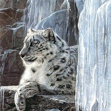 Схема вышивки «Снежный барс»