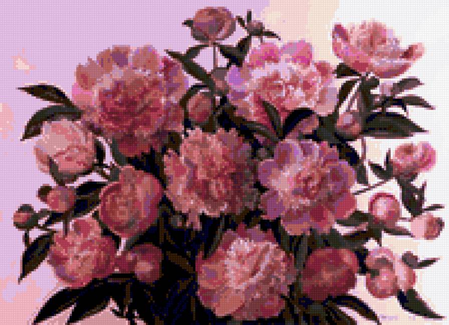 розовые пионы - пионы - предпросмотр