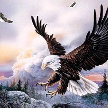 Схема вышивки «Орел»