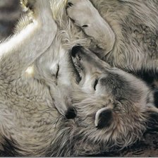 Схема вышивки «худ.лесли харрисон»