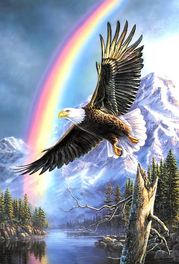 Орел - орел, птицы - оригинал