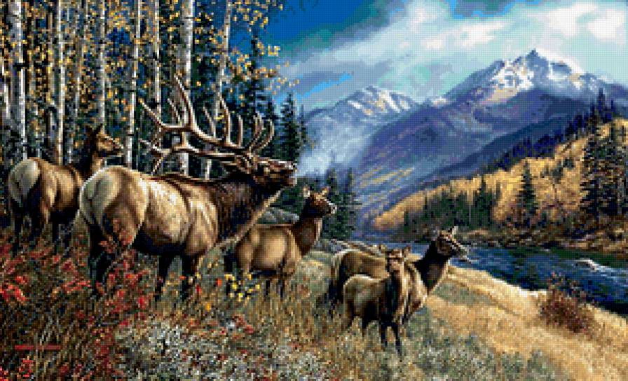 Пейзаж - животные, горы, пейзаж, олени - предпросмотр