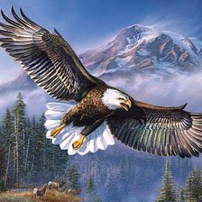 Схема вышивки «Горный орел»