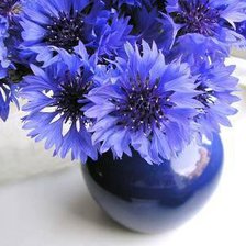 Схема вышивки «васильки в вазе»