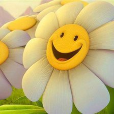 Схема вышивки «веселые ромашки»