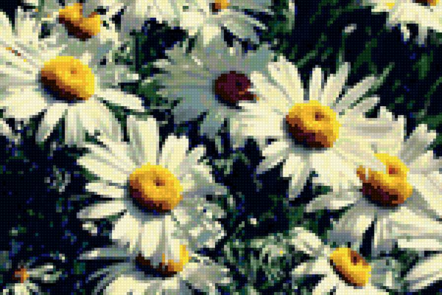 Одуванчики - предпросмотр