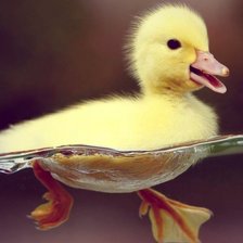 Схема вышивки «Утёнок»