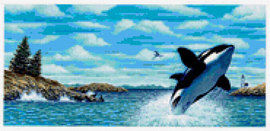 Касатка - водный мир, касатки, животные - предпросмотр