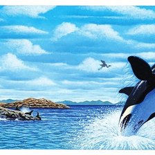 Схема вышивки «Касатка»